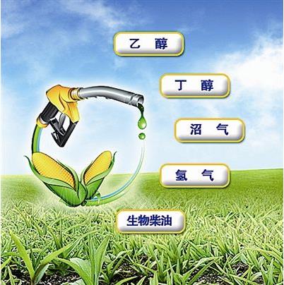 開(kāi)發(fā)利用生物質(zhì)能源具有深遠(yuǎn)的戰(zhàn)略意義