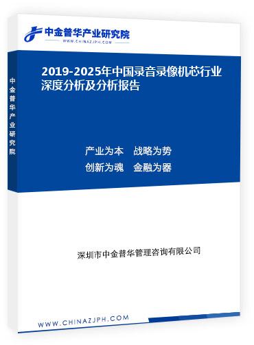 2019-2025年中國(guó)錄音錄像機(jī)芯行業(yè)深度分析及分析報(bào)告