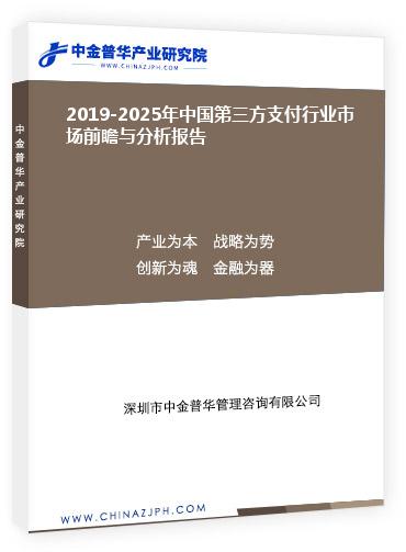 2019-2025年中國第三方支付行業(yè)市場前瞻與分析報(bào)告