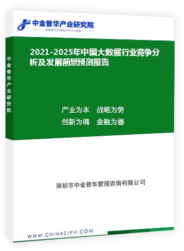 2021-2025年中國大數(shù)據(jù)行業(yè)競爭分析及發(fā)展前景預(yù)測報告