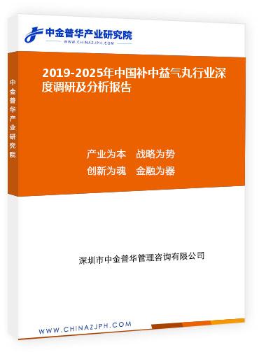 2019-2025年中國補(bǔ)中益氣丸行業(yè)深度調(diào)研及分析報告