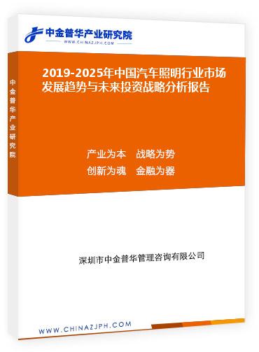 2019-2025年中國汽車照明行業(yè)市場(chǎng)發(fā)展趨勢(shì)與未來投資戰(zhàn)略分析報(bào)告