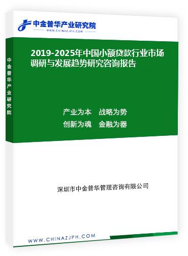 2019-2025年中國小額貸款行業(yè)市場調(diào)研與發(fā)展趨勢研究咨詢報告