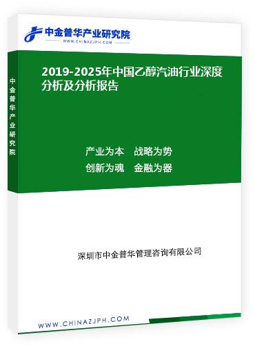 2019-2025年中國(guó)乙醇汽油行業(yè)深度分析及分析報(bào)告