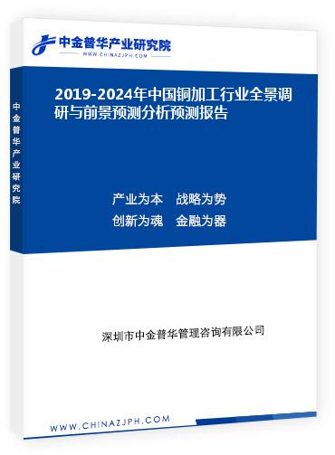 2019-2024年中國銅加工行業(yè)全景調研與前景預測分析預測報告