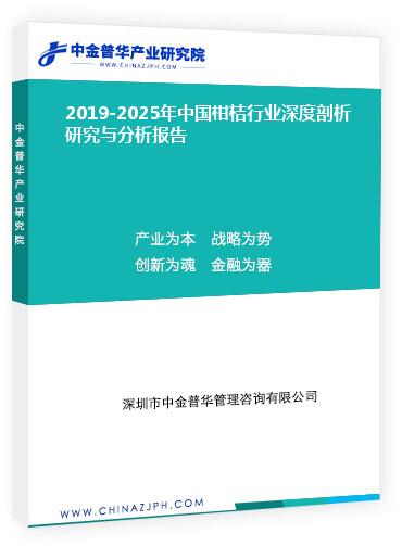 2019-2025年中國柑桔行業(yè)深度剖析研究與分析報告