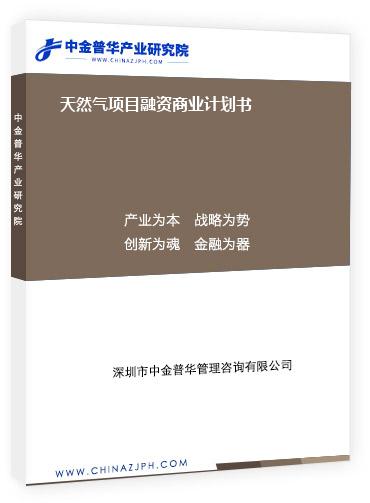 天然氣項(xiàng)目融資商業(yè)計(jì)劃書