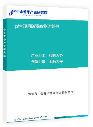 煤氣項(xiàng)目融資商業(yè)計(jì)劃書