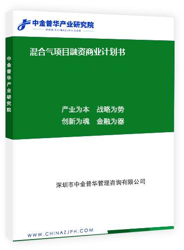 混合氣項(xiàng)目融資商業(yè)計(jì)劃書