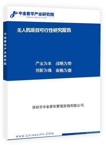 無人機(jī)項目可行性研究報告